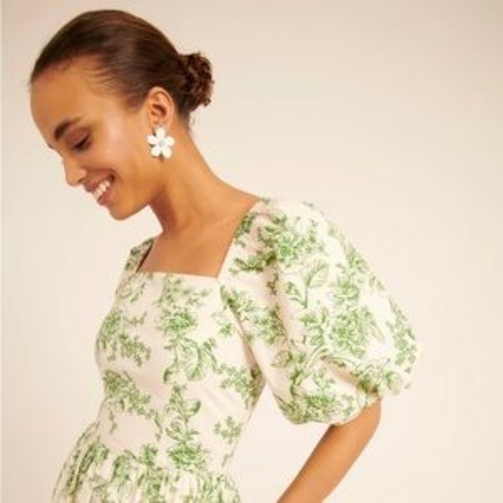 Rachel Parcell size 6 green dress fits like a size 8 sage toile sundress - Picture 8 of 12